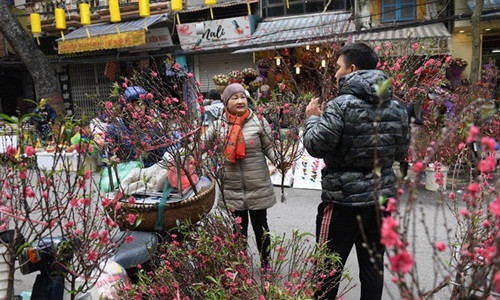 Là phiên chợ Tết lâu đời nhất của Hà Nội, chợ hoa Hàng Lược chỉ họp đúng một lần duy nhất vào dịp cuối năm, từ 23 tháng Chạp đến ngày 30 Tết. Ảnh: Zing.