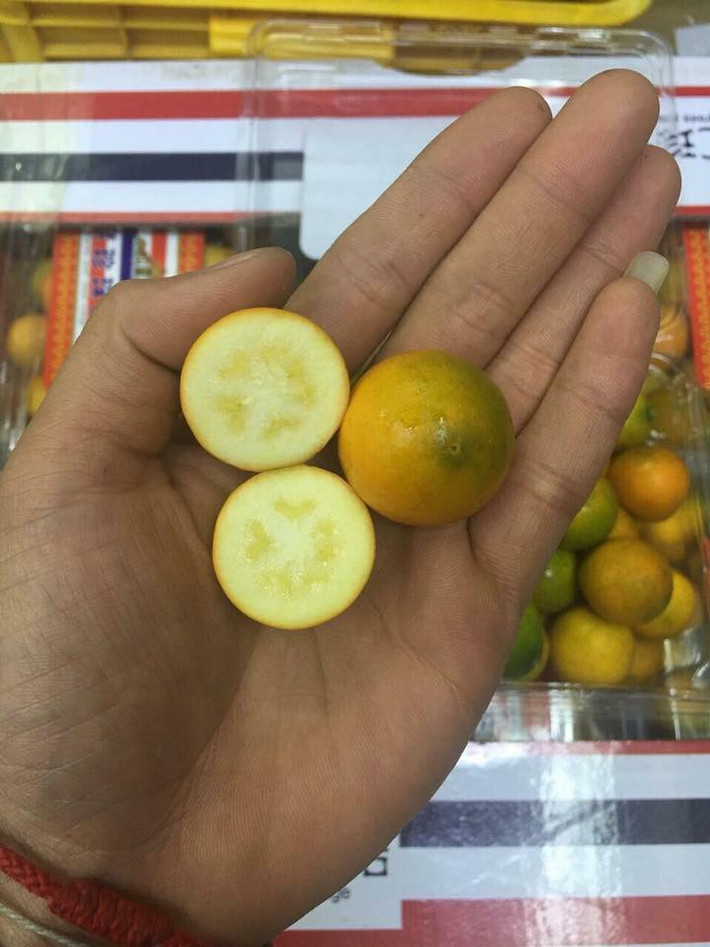 Hoa quả nhập khẩu là một trong những mặt hàng hút khách trong dịp Tết. Bên cạnh các loại trái cây nhập từ châu Âu hay Nhật Bản thì năm nay quất không hạt Đài Loan được nhiều chị em lựa chọn. Ảnh: Hoaquauudam.