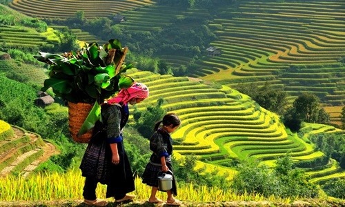 Hà Nội - Sa Pa là một trong những tour du lịch hút khách dành cho các kỳ nghỉ ngắn ngày. Dịp Tết Nguyên đán 2019, giá tour Hà Nội - Sa Pa thời gian 3 ngày 2 đêm dao động từ 2-5 triệu đồng. Ảnh: Vietravel.