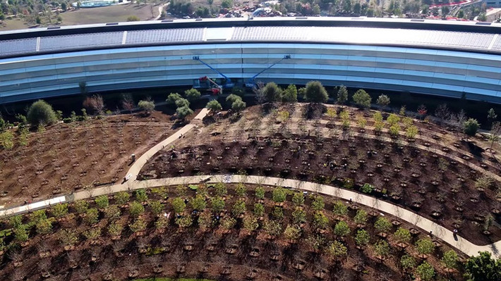 Không chỉ trồng nhiều cây xanh, Apple còn cố gắng biến nó thành một thực thể thân thiện với môi trường, chẳng hạn việc dùng mái ngói bằng năng lượng mặt trời để cung cấp điện cho tòa nhà.