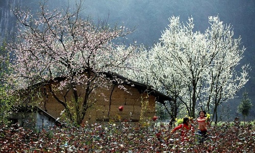 Tour du lịch từ Hà Nội đến Hà Giang dao động từ 2 - 3 triệu đồng/người/2 ngày. Ảnh: Vietravel.