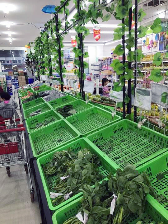 Rau xanh tăng giá còn do chợ đầu mối chưa hoạt động trở lại, hàng ít trong khi nhu cầu ăn rau thay thịt của người tiêu dùng sau dịp Tết tăng cao. Ảnh: Vietnamnet.