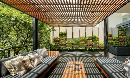 Căn hộ ở tầng dưới của một tòa nhà tại thành phố Mexico gây ấn tượng mạnh nhờ thiết kế cây xanh trải khắp nhà.