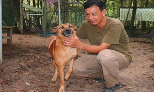Bỏ ngang 5ha tôm sú đang lúc “ăn nên làm ra” để lập nên trang trại chó là quyết định táo bạo của ông Lê Quốc Tuấn (54 tuổi, ngụ TP.Rạch Giá, Kiên Giang). Ảnh: CA TPHCM.