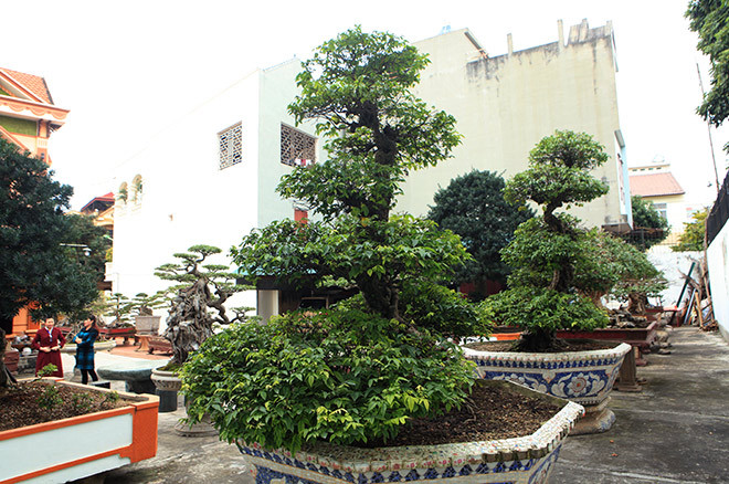 Năm 2014, Đại hội Sinh vật cảnh Châu Á đã bình chọn vườn cây của anh Toàn là vườn cây xuất sắc nhất Đông Nam Á. Năm 2015, vườn cây của anh tiếp tục được Liên Hiệp các hội Khoa học và Kĩ thuật Việt Nam, Bộ Nông nghiệp và Phát triển Nông thôn, Hội bảo tồn Thiên nhiên Việt Nam công nhận là vườn cây cảnh di sản đầu tiên tại Việt Nam.