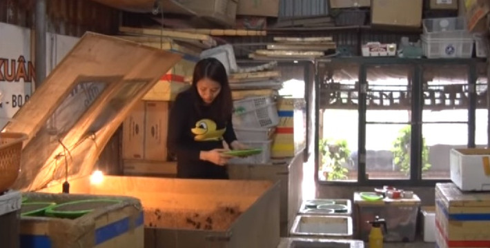Đáng chú ý, một trang trại mini côn trùng được chị thiết kế ngay trên sân thượng nhà 3 tầng ở Hà Nội. Ảnh: Laodongtv.