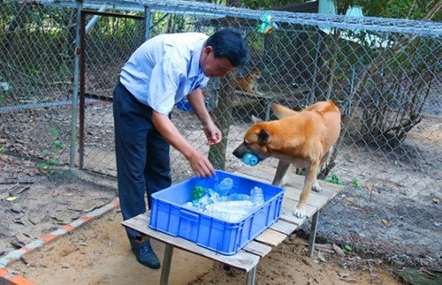 Không chỉ được chăm sóc, huấn luyện những con chó ở đây còn được phân công lao động. Ảnh: CA TPHCM.