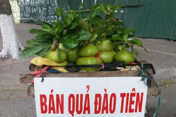 Việc tạo dáng, khắc chữ lên đào tiên hồ lô mang lại giá trị kinh tế cao. Ảnh: Infonet.
