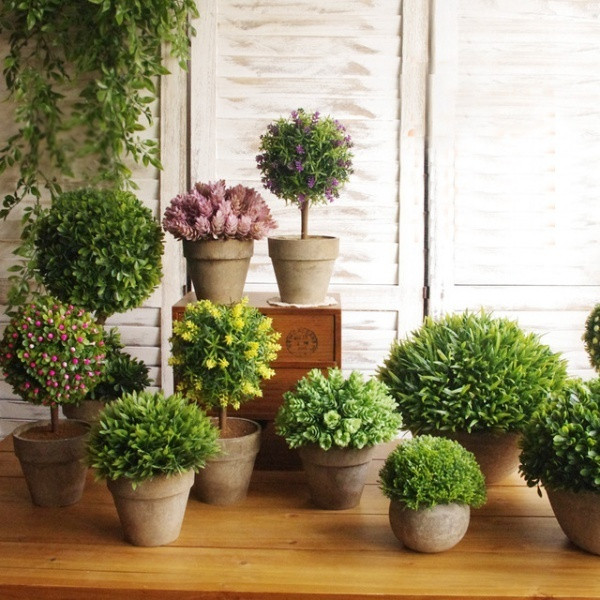 Bạn có thể chọn lựa một góc để "tập trung" các chậu cây có hình dáng cơ bản giống nhau. Bạn nên chọn lựa những chậu cây dạng vòm hình tròn. Sự tròn đầy sẽ giúp năm mới của gia đình bạn thêm thuận lợi và viên mãn.