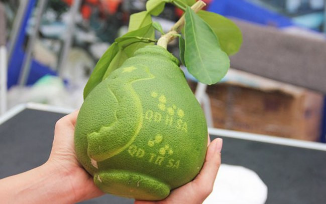 Đáng chú ý nhất là giá bưởi hồ lô có hình bản đồ Việt Nam và các quần đảo lên tới 1,7 triệu đồng/quả. Ảnh: Baotintuc.