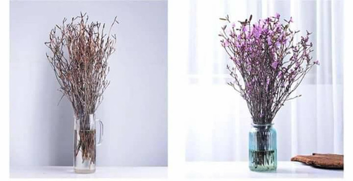 Đẹp, rẻ hoa đỗ quyên khô được dự báo sẽ gây bão thị trường Tết Nguyên đán năm nay. Ảnh: FB Nguyễn Hoàng.