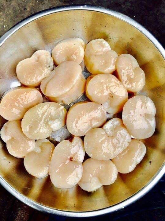 Dậu Mai cũng là một loại sản hải không hề rẻ, giá 2500.000 - 300.000 đồng/kg. Ảnh: Seafoodkt.