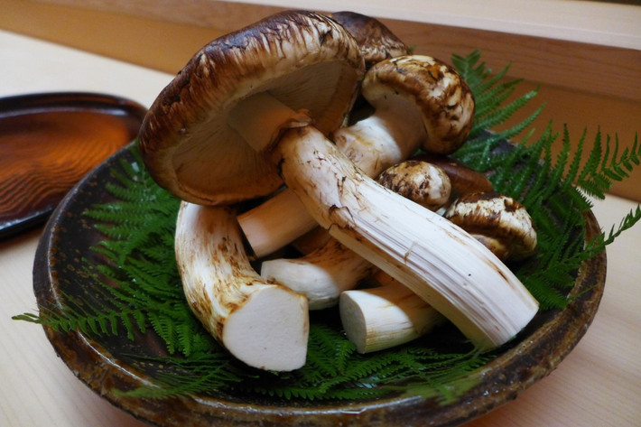 Nấm Matsutake được biết đến nhiều ở Nhật Bản và các quốc gia khác ở châu Á như Hàn Quốc, Trung Quốc, Bhutan… Tại đây, nấm Tùng nhung thường xem là loại nấm quý hiếm được dùng để làm quà biếu tặng.