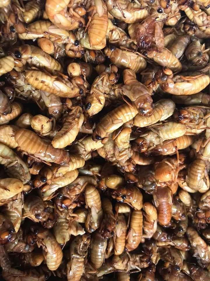 Khách mua số lượng lớn thường có giá rẻ. Trong khi đó, khách lẻ mua 1-2kg sẽ phải chịu mức giá đắt hơn.