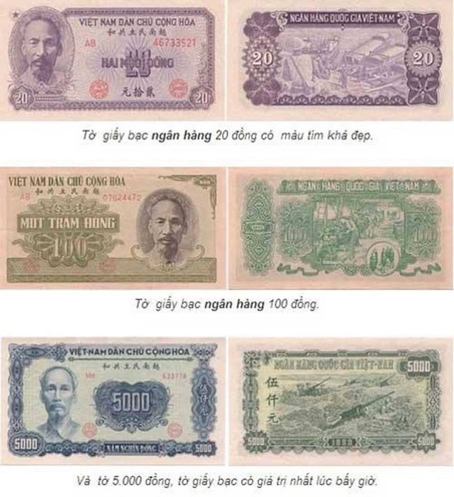 Tiền giấy do Ngân hàng quốc gia Việt Nam ban hành năm 1951.