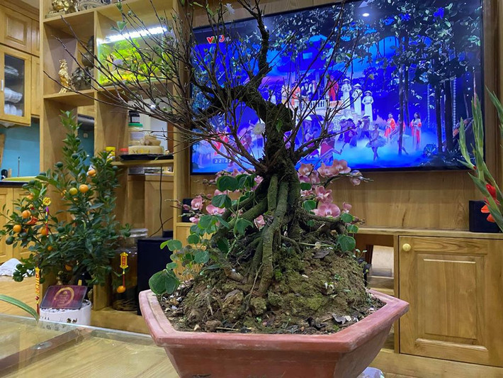 Vốn là người kín tiếng nên nghệ sĩ Công Lý chỉ hé lộ một số không gian bên trong căn nhà. Ảnh: FBNV.