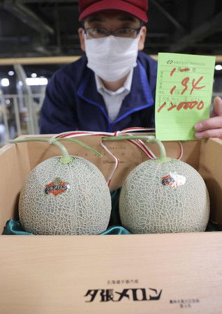 Theo Nippon, ngày 25/5 vừa qua, một cặp dưa lưới Yubari vừa bán ra với giá 120.000 Yên (gần 26 triệu đồng) trong buổi đấu giá đầu tiên vào mùa thu hoạch năm nay ở Hokkaido (Nhật Bản). Ảnh: Nippon.