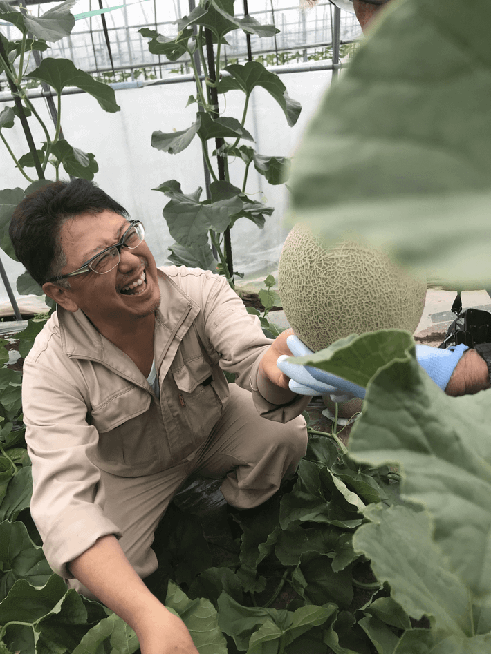 Không chỉ có vậy, mọi việc chăm sóc dưa hoàn toàn phải được thực hiện bằng tay, vừa giúp cho hương vị hoàn hảo hơn đồng thời hoàn thiện vẻ ngoài cao cấp hơn. Ảnh: Masai Mara.