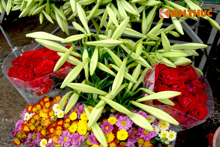 Theo chia sẻ của chị Tân (bán hàng hoa trên phố Yên Phụ - Tây Hồ): "Có thể năm nay sẽ ít hoa hơn mọi năm vì vườn Quảng Bá trồng ít hơn năm trước, phải đi sâu vào phía vườn sát chân cầu Nhật Tân mới có. Người làm vườn dần chuyển sang trồng hoa ly vì lời lãi cao hơn nhiều".