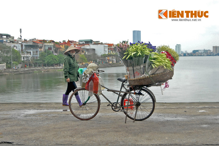 Hình ảnh gánh hàng hoa quen thuộc, bình dị trên nhiều tuyến phố Hà Nội.