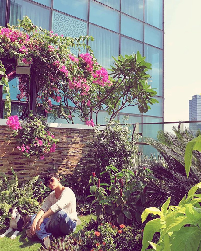 Được biết, khu vườn trên không của Nathan Lee trị giá đến 3 triệu USD. Nathan Lee cho biết, trong vườn có nhiều cây ăn trái và hoa.