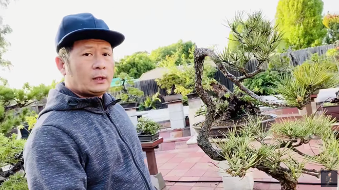 Khu vườn của giọng ca "Nơi tình yêu bắt đầu" có nhiều loại cây kiểng với kích thước lớn nhỏ khác nhau, được bài trí đẹp mắt.