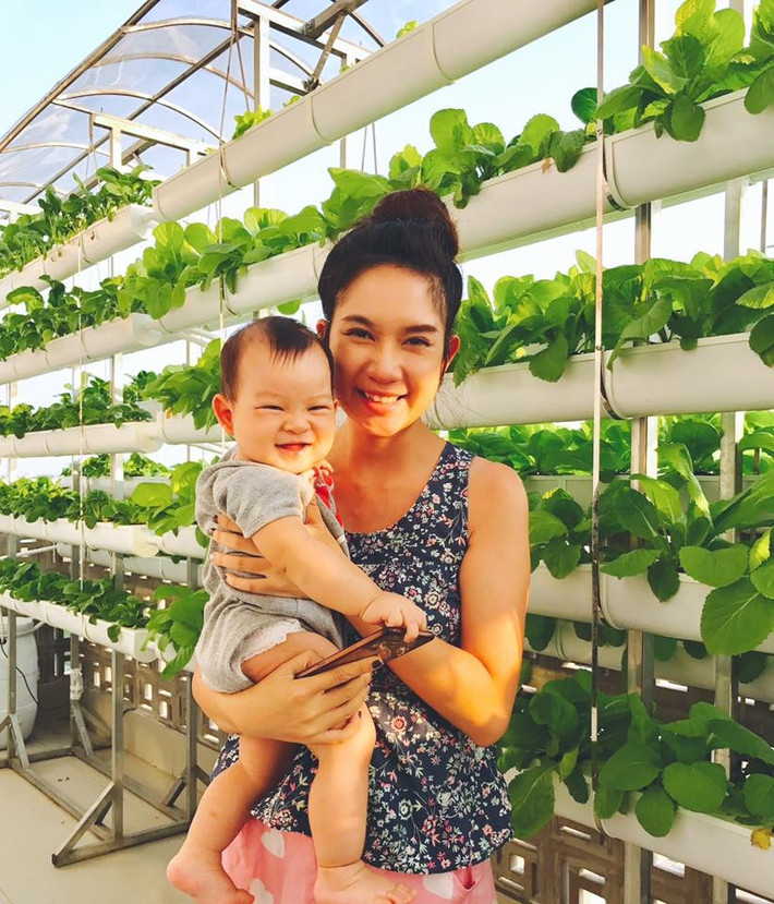 Để tiết kiệm diện tích, phần sân thượng có nhiều ánh nắng được Lý Hải thiết kế hệ thống thủy cảnh dạng đứng với mái che để giảm bớt ánh nắng và mưa trực tiếp xuống làm hỏng rau.