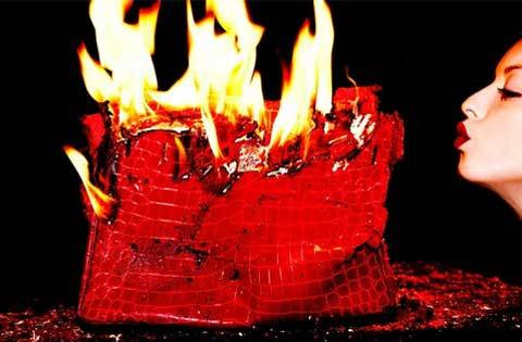 Với thương hiệu xa xỉ Hermes, khoảng chục trong số 10.000 nhân viên của hãng được đưa tới trước một lò đốt rác tại Saint-Ouen, Seine-Saint-Denis, ngoại ô phía Bắc Paris để chứng kiến những sản phẩm của hãng được tiêu hủy hoàn toàn.