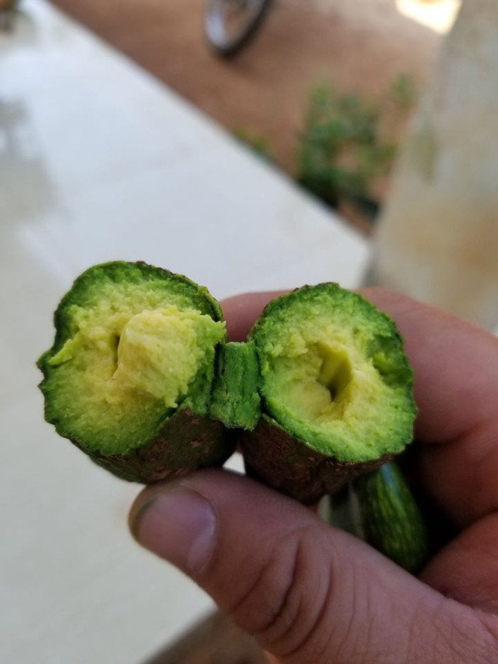 Theo người bán, loại bơ tí hon có ruột màu vàng đậm vị, dẻo tương tự như bơ 034. Ảnh: FB Le Van Thang.