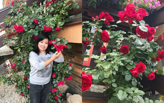 Ngoài rau, chị Huyền còn trống rất nhiều hoa. Ảnh: Doisongtieudung.