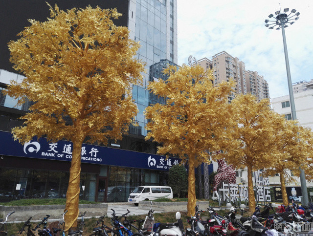 Từ thân cây, cành cây cho đến lá cây đều được quấn vàng rất cẩn thận. Hàng cây dát vàng khiến cả dãy phố bừng sáng. Ảnh: Shanghaiist.