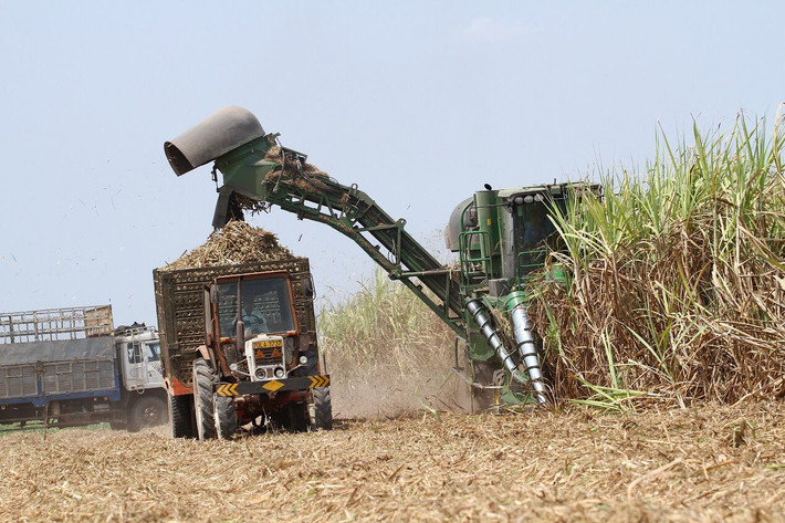 Khi Thành Thành Công hoàn tất thương vụ mua lại cổ phần chi phối của Bourbon Tây Ninh (SBT) - một trong những doanh nghiệp lớn nhất ngành mía đường “công chúa mía đường” Đặng Huỳnh Ức My trở thành người nắm quyền lực cao nhất tại SBT (nay đổi tên thành Công ty cổ phần Mía đường Thành Thành Công Tây Ninh). Ảnh minh họa: Tuổi trẻ.