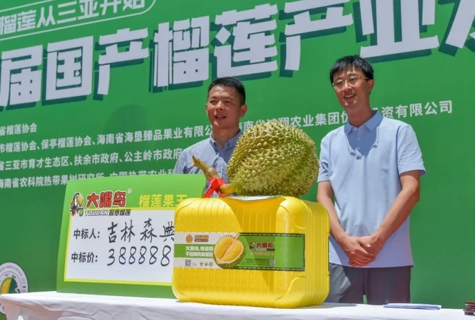 Tại Hải Nam (Trung Quốc), quả sầu riêng nặng gần 7kg, được đấu giá thành công trong hội nghị ở mức 54.177 USD (gần 1,3 tỷ đồng). Ảnh: Sina