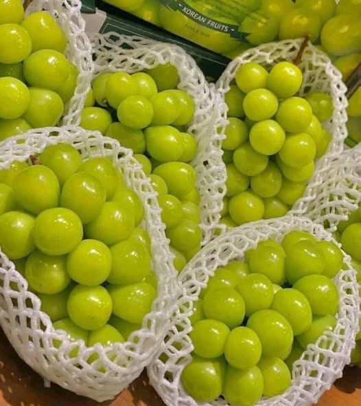 Nho sữa Trung Quốc từng có giá lên tới 500 nhân dân tệ/kg, tương đương hơn 1,7 triệu đồng/kg. Nhưng chỉ sau vào năm, nho sữa rớt giá thê thảm. Ảnh: Facebook