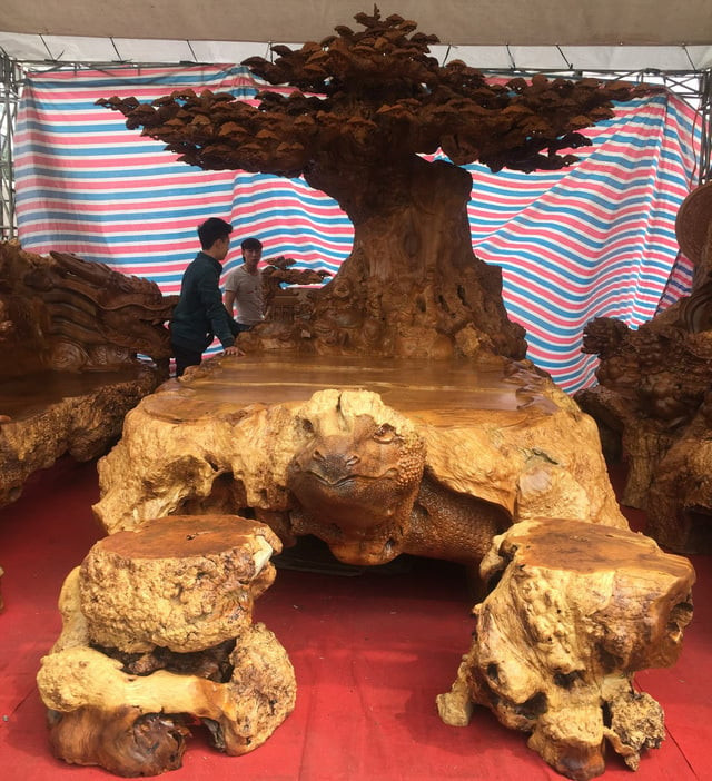 Đáng chú ý, gốc nu đinh dùng để chế tác bộ bàn ghế có tuổi đời hàng nghìn năm nên giá trị không hề nhỏ. Ảnh: Người quan sát