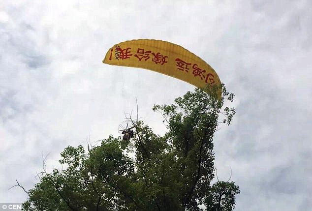 Nhưng kế hoạch nhảy dù cầu hôn của chàng trai đã diễn ra không suôn sẻ khi anh bị mắc kẹt trên cây trong khi đáp dù xuống đất.