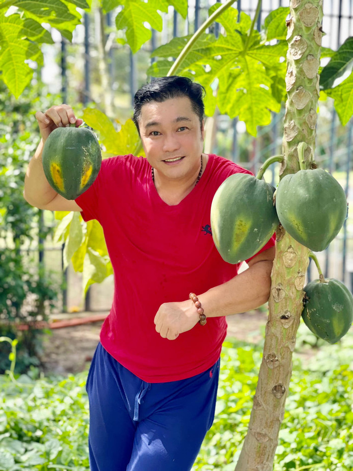 Tại đây, nam diễn viên trồng nhiều cây cảnh và cây ăn quả. Ảnh: FBVN