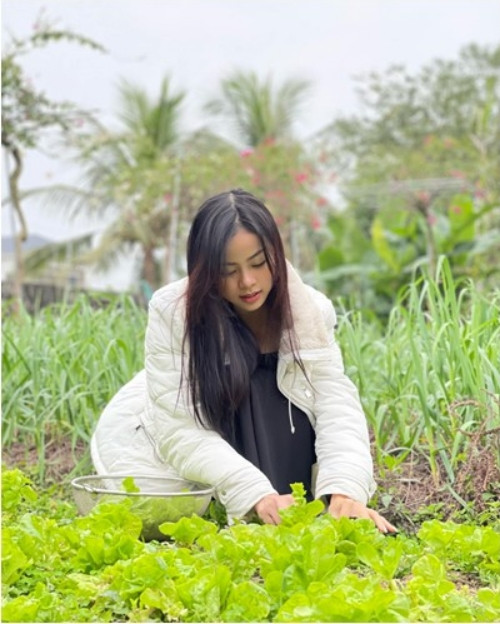 Cạnh nhà Á hậu Đào Thị Hiền còn có vừa rau sạch, xanh mướt. Ảnh: FBNV