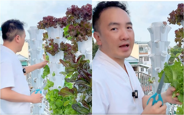 Trên sân thượng, Dương Ngọc Thái trồng một vườn rau thuỷ canh.