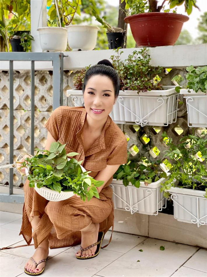 Các loại rau sạch trong vườn nhà tốt um.