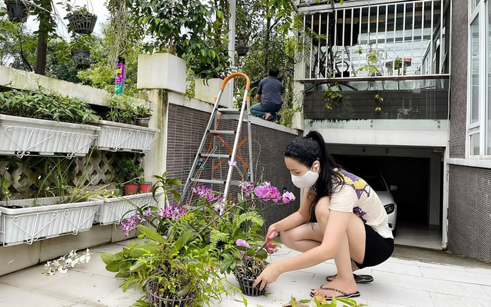Trịnh Kim Chi từng khoe cảnh làm vườn cùng ông xã đầy hạnh phúc. Nguồn ảnh: FBNV