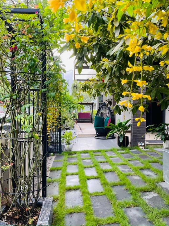 Các loại hoa đua nhau khoe sắc giúp căn nhà của Nhật Kim Anh thêm rực rỡ.