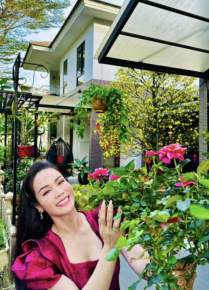 Hoa hồng nữ diễn viên trồng bung nở đúng dịp Tết.