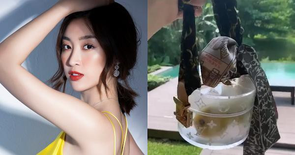 Hoa hậu Đỗ Mỹ Linh cũng chẳng kém cạnh khi dùng đồ hiệu khó hiểu khi mang túi LV giá gần 30 triệu đồng để đựng táo như thế này. Ảnh: Dân Việt