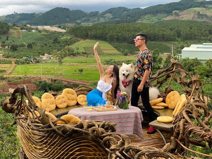 Ngoài ra, cặp đôi còn cùng nhau kinh doanh thực phẩm chức năng, thường xuyên quay quảng cáo, giới thiệu trong những livestream, video của mình. Ảnh: FBNV