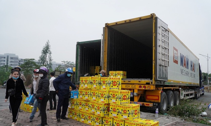 Giá thanh long dao động từ 5.000 - 10.000 đồng/kg. Phần lớn khách hàng đều mua cả thùng.