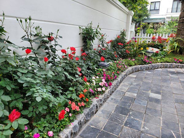 Trước đó, chiều theo ý bà xã, Tuấn Hưng trồng hoa quanh biệt thự. Ảnh: FBNV