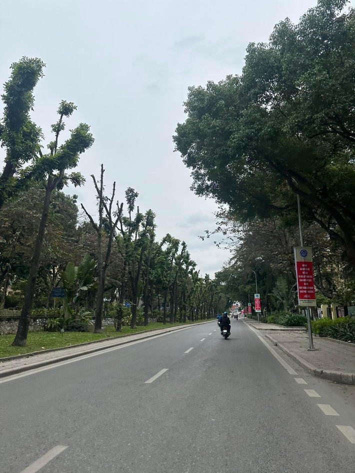 Dường như dòng thời gian sáng 30 Tết nhẹ nhàng và đầy nên thơ như thế này của Hà Nội được rất nhiều người yêu thích.