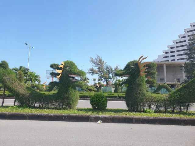 Chia sẻ trên Báo Sức Khỏe Đời Sống, bà Nguyễn Thị Thu, Trưởng phòng Kế hoạch – Kỹ thuật, Trung tâm Công viên cây xanh Đồng Hới, tỉnh Quảng Bình cho biết, trên địa bàn thành phố hiện có 12 mô hình rồng từ cây xanh do đơn vị tạo hình, chăm sóc tại trục đường lớn và công viên. Mục đích của những mô hình rồng này là nhằm tạo cảnh quan cho thành phố, không chỉ dành riêng để trang trí cho dịp Tết Nguyên đán.