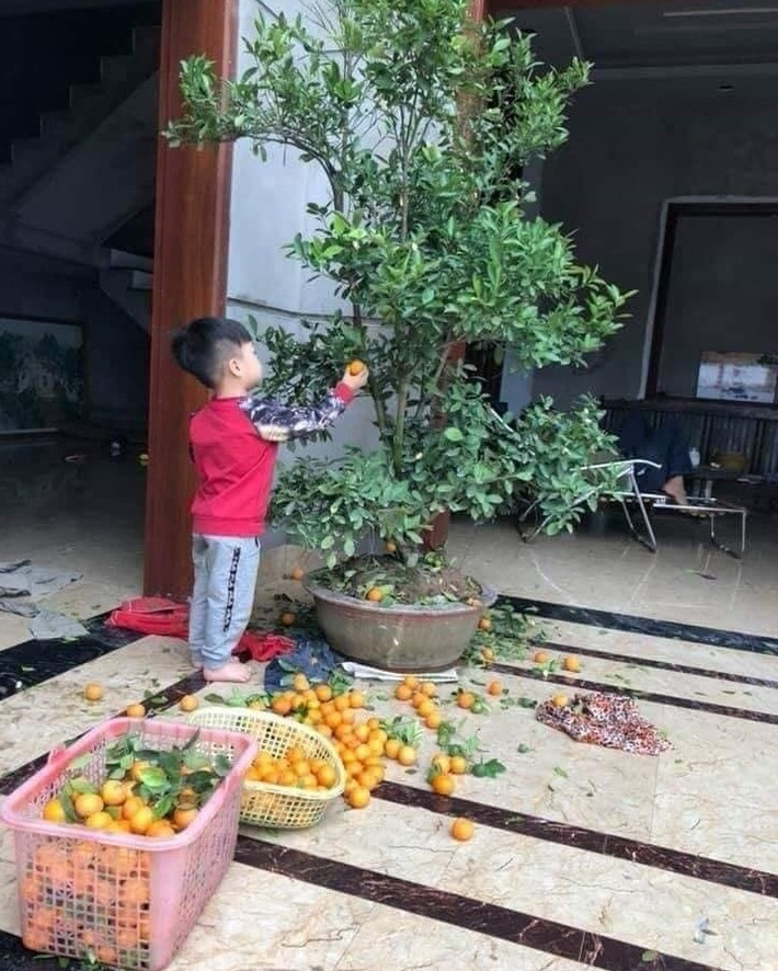 Bức ảnh này khi vừa mới đăng tải đã nhanh chóng "gây bão" mạng xã hội và nhận được lượt tương tác lớn của cư dân mạng.